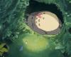 “Miyazaki, the spirit of nature”, on Arte a breath of rare humanity