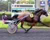 Prix ​​d’Evreux: Java d’Anama ready for a new feat