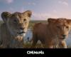 Explained ending of Disney's 'The Lion King' prequel