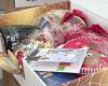 “The holidays must be shared by everyone”, a few days before New Year’s Eve, the city of Bastia distributed its Christmas packages