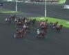 PRIX DES FREESIAS – PARIS-VINCENNES – 12/20/2024: starters, predictions and results in videos – Race 1