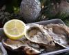 raw oysters at the origin of a norovirus epidemic which sickened at least 80 people in Los Angeles