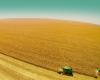 Morocco obtains $250 million from the World Bank for the benefit of the agricultural sector