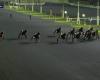 PRIX DE JABLINES – PARIS-VINCENNES – 12/20/2024: starters, predictions and results in videos – Race 6