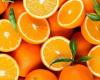 New record for Moroccan exports of oranges for juice: a leap towards Europe