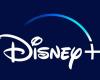 Disney+: new films and new series for January