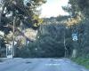 Power line cut, port of Toulon closed… update on yellow vigilance for strong winds in the Var