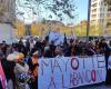 In Marseille, weak mobilization, but strong solidarity for stricken Mayotte