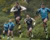 RUGBY. A 3/4 English international weighing 112kg and 1m92 in the sights of the Top 14