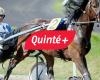 Quinté prediction of the day (Saturday December 21) at Paris-Vincennes: Prix d’Evreux, odds, favorites