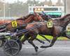 PMU – Arrival of the quinté on Saturday December 21 at Paris-Vincennes: Dream day, even in the rain