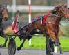 PMU – Arrival of the quinté on Sunday December 22 at Paris-Vincennes: Keep Going on the way to America