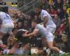 VIDEO. TOP 14. Will Skelton's immunity totem infuriates Stade Rochelais supporters