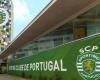 Primeira Liga Predictions December 22nd: Matchday 15 Betting List