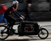 Dual-body or “longtail”? How to choose the right cargo bike