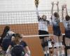 Volleyball. N2F: after its stunning victory against Vézily, Angers is getting closer to maintaining