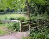 In this town of Loire-Atlantique, we are going to remove trees… for the good of a stream