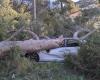 Storm Enol: the south of France swept by violent winds, one dead in Perpignan