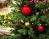 Knowledgeable about Christmas and its traditions? Test your knowledge with our quiz – rts.ch