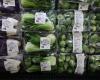 Plastic pollution | Fruit and vegetable packaging called into question