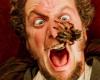 Home Alone Star Reveals Scary Encounter With Real Spider on Set