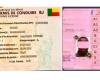 Regularize the conversion of Beninese driving licenses in Belgium