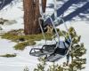 Collision between two chairs: five skiers hospitalized, including three who fell from a chairlift