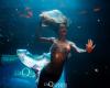 Aquarium Club: a magical New Year's Eve in the heart of Paris