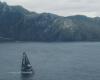 Yoann Richomme and Charlie Dalin pass Cape Horn, their joys in pictures