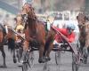 PMU – Arrival of the quinté on Tuesday, December 24 at Paris-Vincennes: Isofou du Chêne brings down Cobra Killer Gar