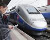 Driver's fall caused delays on the Lyon-Paris TGV line on Christmas Eve