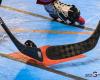 ROLLER-HOCKEY – Nationale 2: Manon Serer and Lucie Marseille, the art of knowing how to play two scores