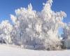 severe cold this weekend in Occitanie, severe frost all the way to the plains