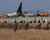 Jeju Air plane colliding with birds kills at least 120 in South Korea