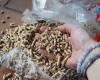 Wood pellets: will the price of pellets fall in 2025?