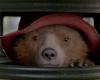 Paddington 2: a charming family comedy from Paul King