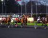 Agenda for the week (December 30 to January 5): a very beautiful weekend on the Vincennes ash with the Prix du Calvados – Cornulier Races, the jumpers have their big meeting in Cagnes/Mer