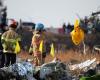 Bird strike likely cause of fatal South Korea plane crash. What is it? | World News