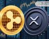 Ripple Unlocks 500M XRP with This Promising Message