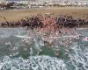 Tradition. They take the plunge for 2025, New Year's baths attract crowds