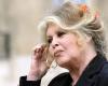 Brigitte Bardot denounces a “massacre” of chamois