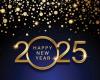 Best Wishes and Happy New Year 2025 from Army Recognition Team!