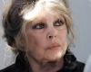 “Nothing ever stops the hunters”: Brigitte Bardot denounces a “massacre” of chamois in the Doubs