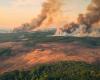 The Brazilian Amazon Hit by Record Fires in 2024