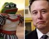 Elon Musk Kekius Maximus: Why Elon Musk changed his X name to ‘Kekius Maximus’