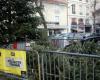 Environment. Where to recycle your Christmas tree? The Grenoble Metropolis makes the process easier