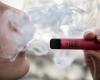 Disposable electronic cigarettes “puffs” banned from January 1, 2025 in Belgium… and soon in France