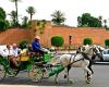 Jamaa El-Fna square expels carriages