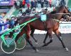 Friday at Vincennes-Prix Hersilie: A formidable Italian coalition