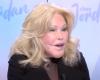 Death of “Cat Woman” Jocelyne Wildenstein at 79